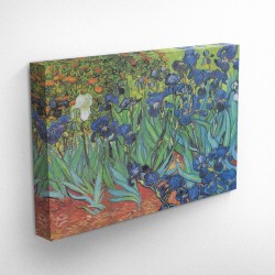 Vincent Van Gogh - Iris...
