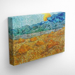Vincent Van Gogh - Paesaggio con...
